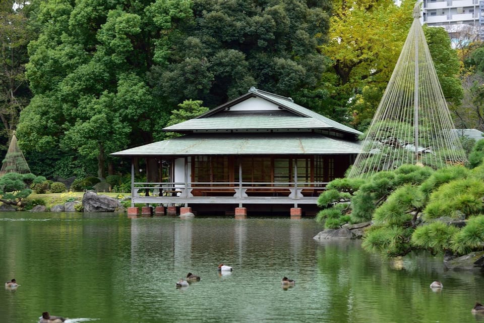 Monzen-Nakachō Walking Tour Review - Meeting Point and Participants