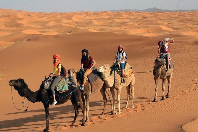 Morocco Desert Tour 4 Days From Marrakech - Transportation and Guides