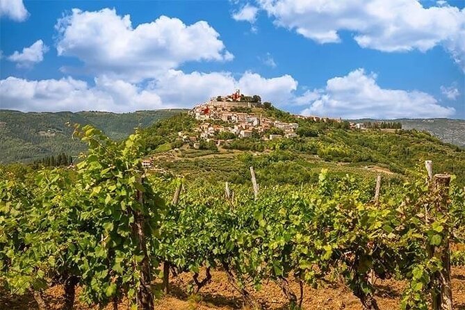 Motovun - Amazing Views & Tasty Truffles (From Rovinj) - Inclusions