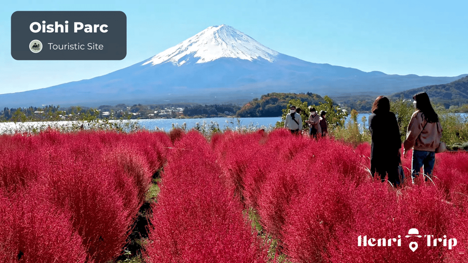 Mount Fuji : The Only Guide - Frequently Asked Questions