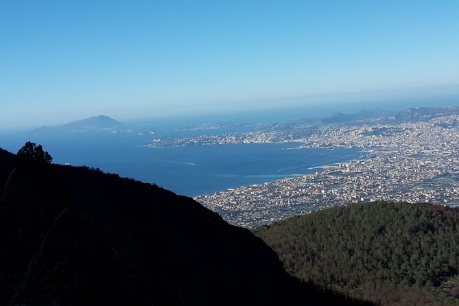 Mount Vesuvius Tour by Bus and Ticket Included From Ercolano - Accessibility and Requirements