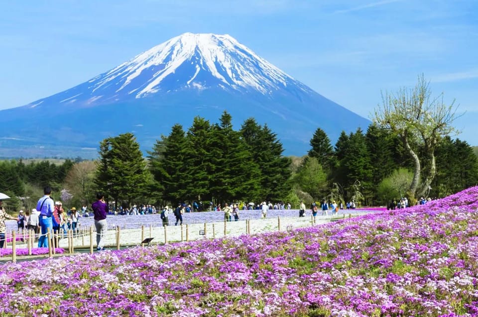 Mt.Fuji:Lake Kawaguchi,Yamanaka & Onsen Day Tour From Tokyo - Important Information