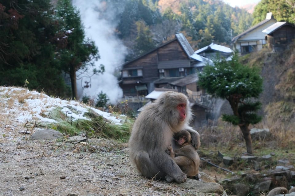 Nagano: Snow Monkeys, Zenkoji Temple & Sake Customized Trip - Shibu Onsen Tour