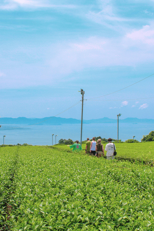 Nagasaki Tea Tour Review: A Flavorful Experience - Tea Factory Tour