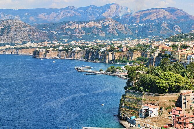 Naples City and Pompeii Half-Day Sightseeing Tour From Sorrento - Professional Guide