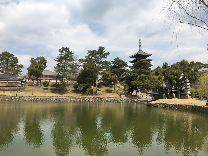 Nara: Private Guided Tour - Nara Prefectural Office