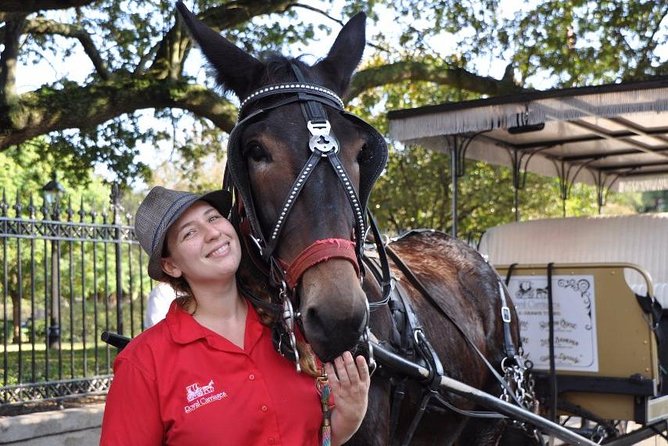 New Orleans French Quarter & More Carriage Ride - Positive Reviews and Ratings