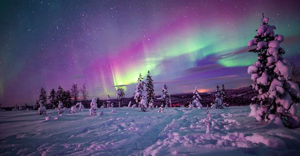 Night Snowshoeing Adventure Under the Northern Lights - Booking and Flexibility