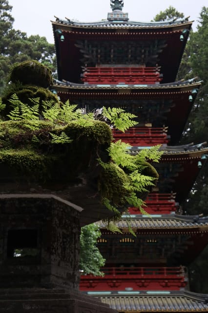 Nikko: Sightseeing Customized Private English Full Day Trip - Inclusions