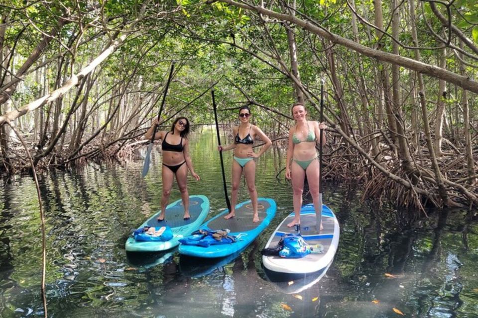 North Miami: Nature & Island Exploration on SUP/Kayak - Feedback and Ratings