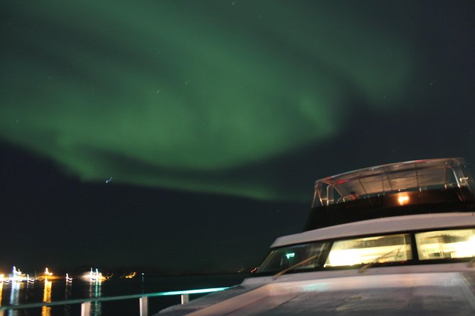 Northern Lights Yacht Cruise - About the Operator