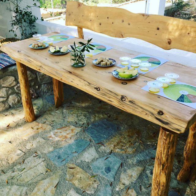 Olive Grove Tour & Olive Oil Tasting and Lunch in Messinia - Additional Options and Services