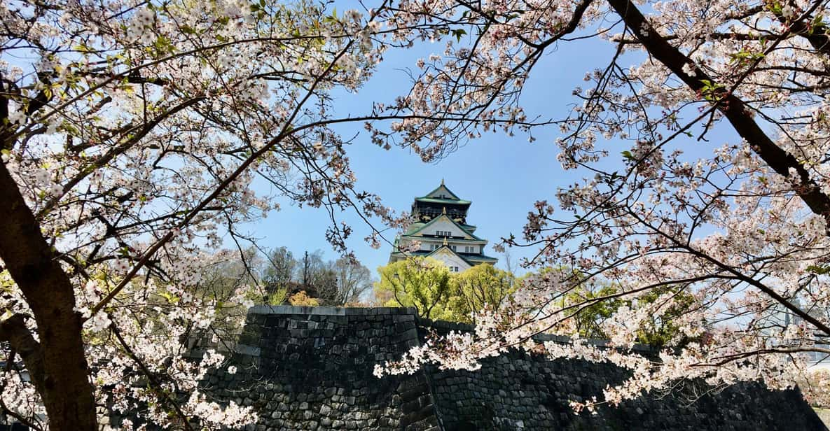 Osaka: Half-Day Private Guided Tour of the Castle - Recap