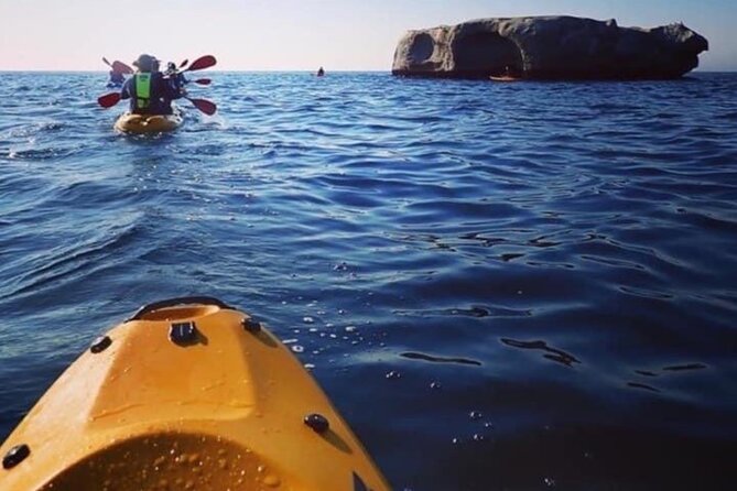 Paddle With the Penguins - Tour Suitability and Accessibility