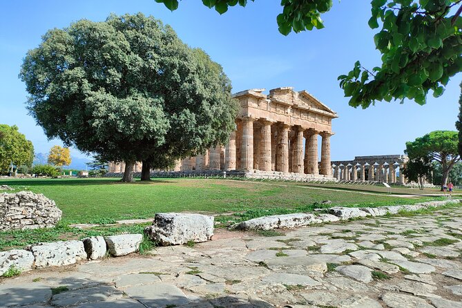 Paestum Traditions, Buffaloes, Ceramics, Temples - Paestum Traditions, Buffaloes, Ceramics, Temples