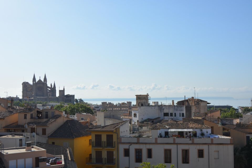 Palma Shore Excursion Bike Tour (Transfer Included) - What to Bring and Prepare