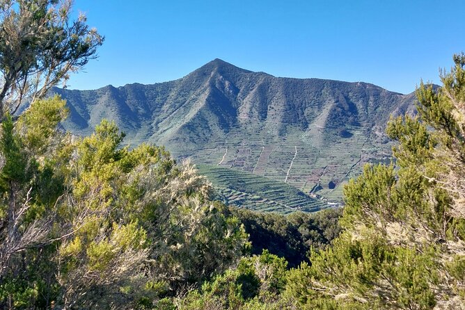 Panoramic Route Across the Teno Rural Park in Tenerife - Cancellation Policy and Refunds