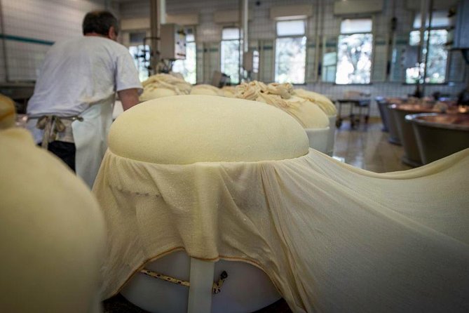 Parmigiano Reggiano Cheese Factory Tour & Tasting Experience - Booking Details and Policies