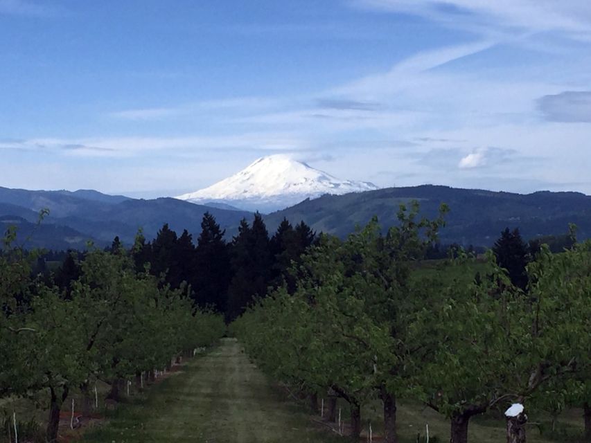 Portland: Mount Hood Wine and Waterfalls Full-Day Tour - Winery and Vineyard Tastings