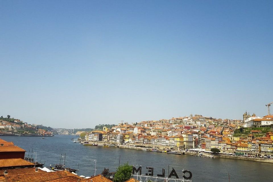 Porto: Guided Walking Tour and Lello Bookshop - Customer Feedback