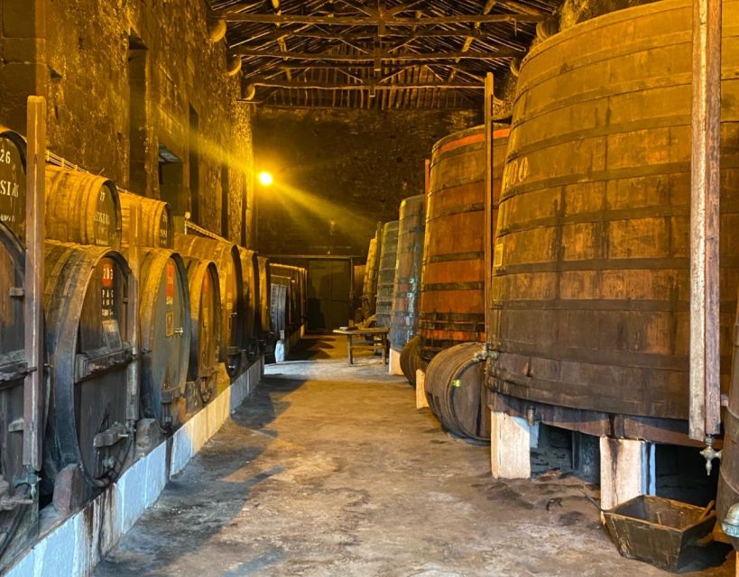 Porto: Private Douro Valley Tour, Yacth, Wine Taste & Lunch - Breaks and Refreshments