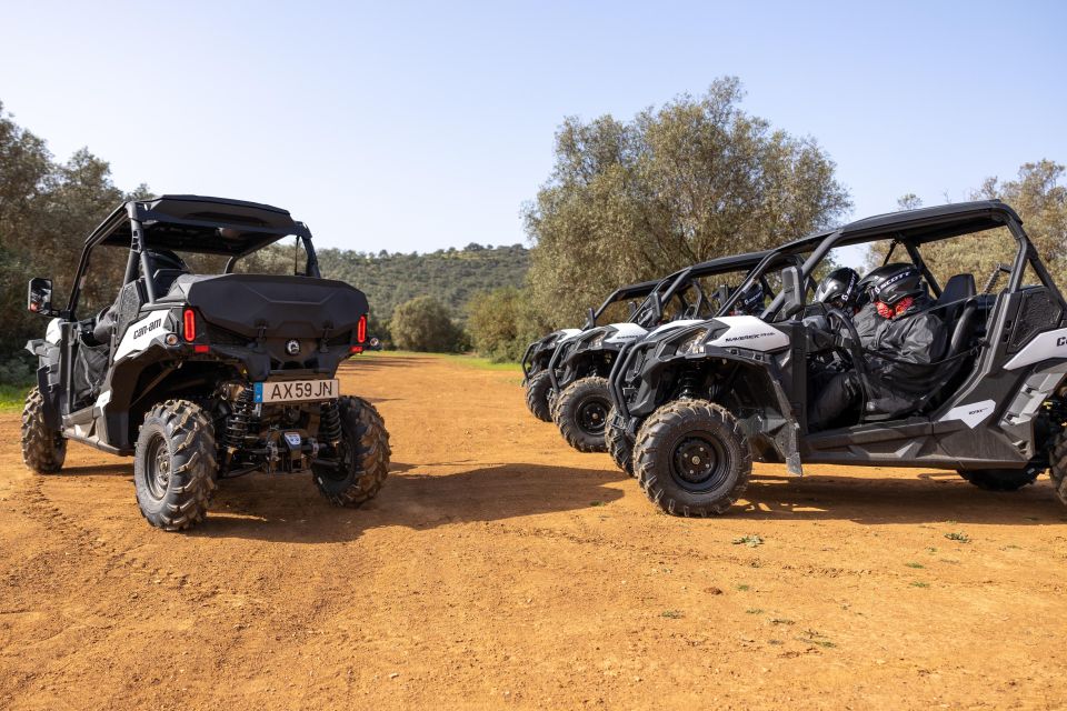 Porto Santo: 180 Minutes Off-Road Buggy Tour - What to Expect