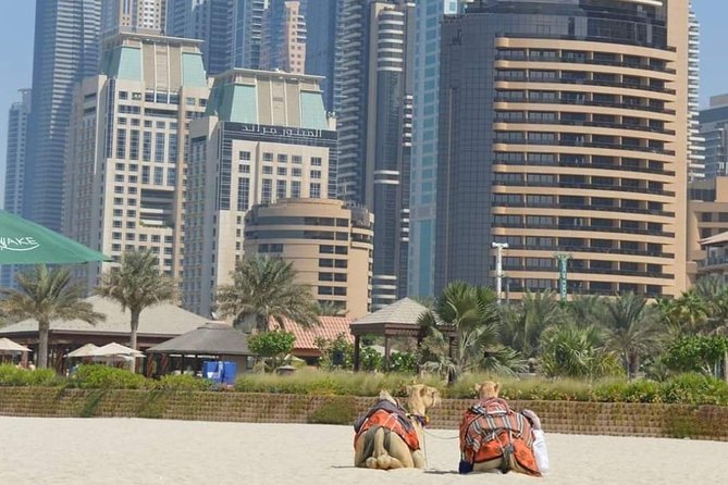 Private : Dubai Full Day City Sightseeing Tour - Customizable Itinerary