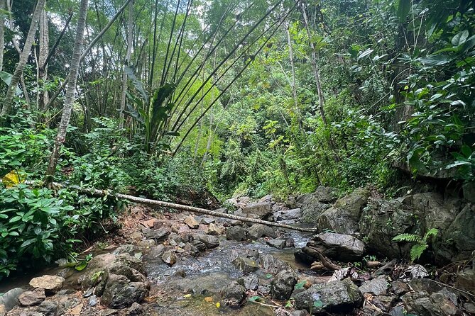 Private Rainforest Hike to Hidden Waterfall Tour With Transport - Guest Reviews