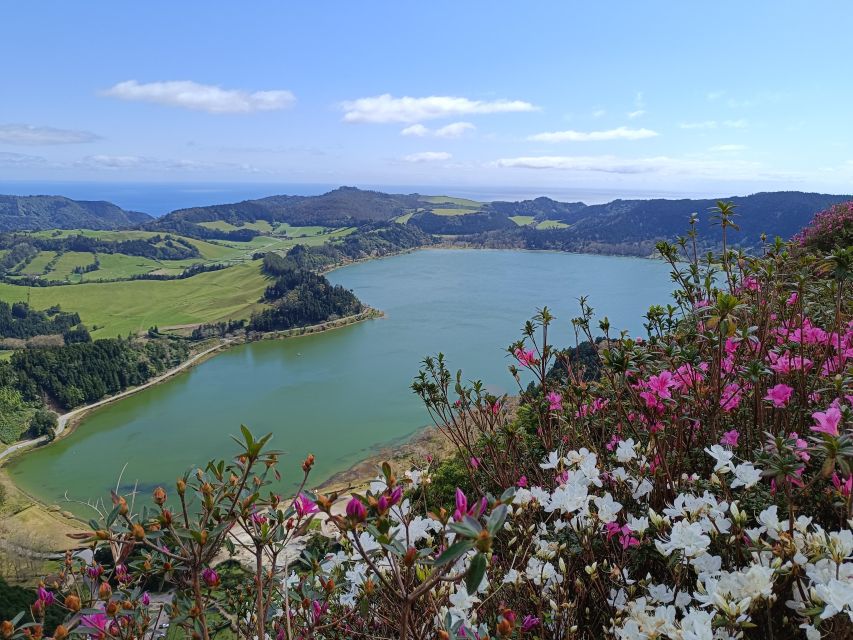 Private Tour of Furnas Valley, Gorreana Tea - Island Gems - Visiting Gorreana Tea Factory