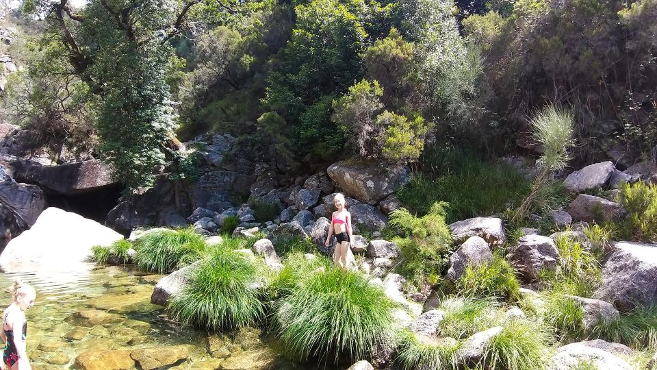 Private Tour to Peneda-Gerês National Park, for Nature Fans - Getting to the Park