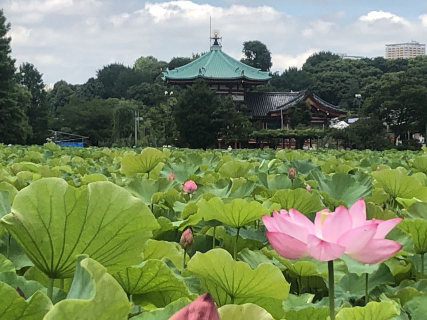 Private Ueno Park Architecture Tour - Tour Price