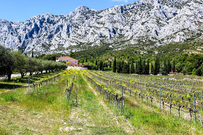 Provence - Mont Sainte Victoire in Search of Cézanne Private Wine Tour - Exploring Local Cuisine