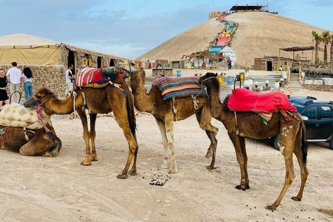 Quad Excursion to the Agafay Desert Near Marrakech - Experience in a Nomadic Tent