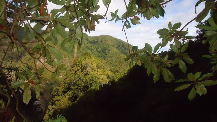 Queimadas Natural Park 5-Hour Guided Hike - Suitability and Recommendations