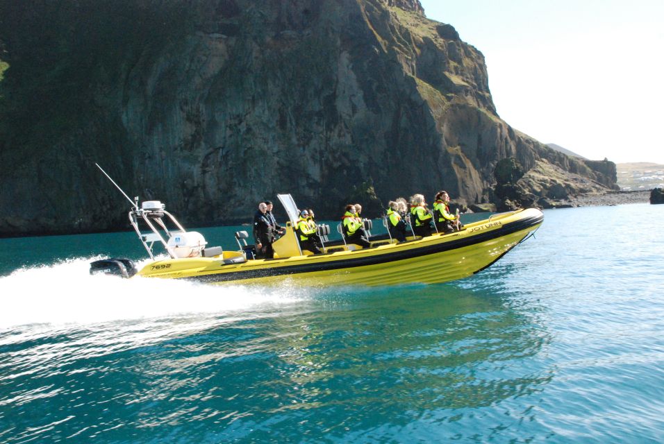 Reykjavik: Whale Watching by RIB Speedboat - Weather and Participation