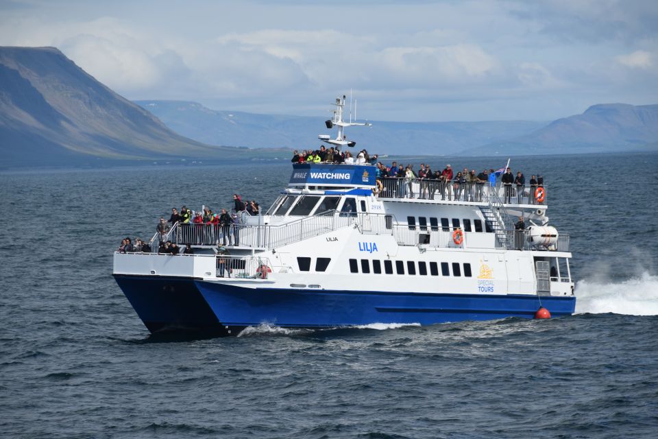 Reykjavik: Whale Watching Tour by Fast Catamaran - Frequently Asked Questions