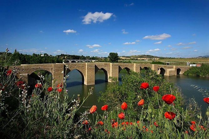 Rioja Alavesa Wineries and Medieval Villages Day Trip - Additional Considerations