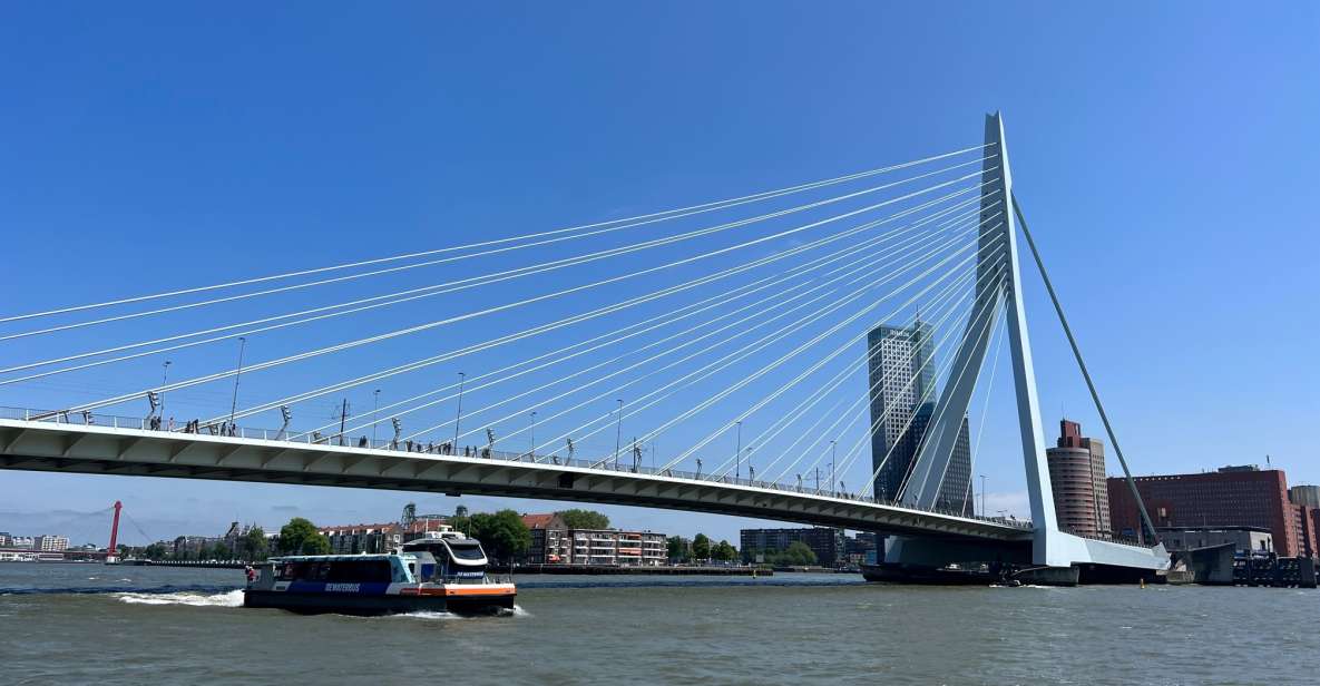 Rotterdam: Waterbus Ticket to Dordrecht And/Or Kinderdijk - Availability and Booking Options