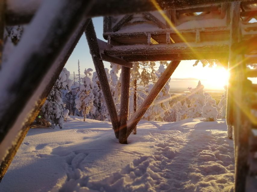 Rovaniemi: Wilderness Tour - Outdoor Fire-making