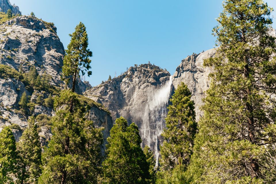 San Francisco: Yosemite National Park & Giant Sequoias Hike - Included in the Tour