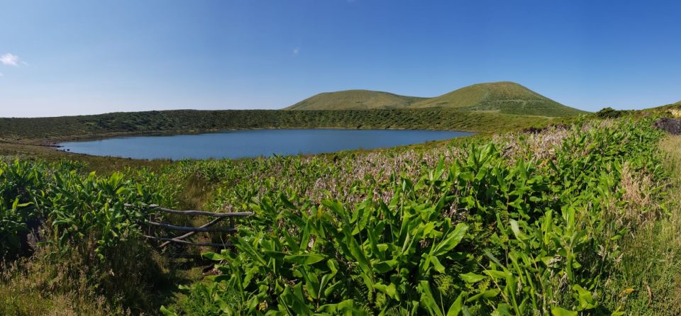 Santa Cruz Das Flores: Guided Tour With Ferreiro Waterfalls - Ponta Delgada and Fajã Grande