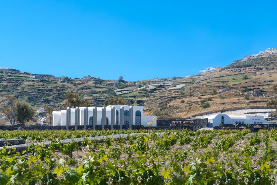 Santorini: Guided Wineries Private Tour With Wine Tastings - Caldera Views and Wine Tastings