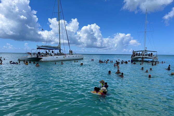 Saona Island Day Tour - Highlights of the Tour