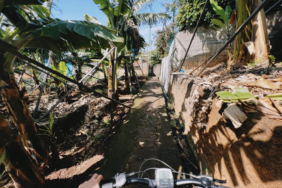 Self-Guided E-Bike Road Tour - Funchal to Câmara De Lobos - Customer Feedback