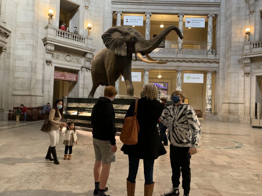 Smithsonian National Museum of Natural History Guided Tour - Positive Feedback