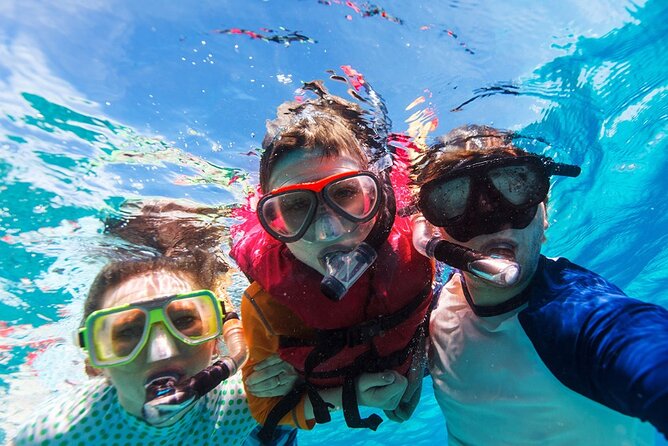 Snorkeling Trips to Daymaniat Islands Sharing Trip - Preparing for the Adventure