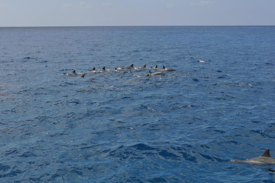 South Maui: Maalaea Guided Motorboat Tour With Snorkeling - Gratuities