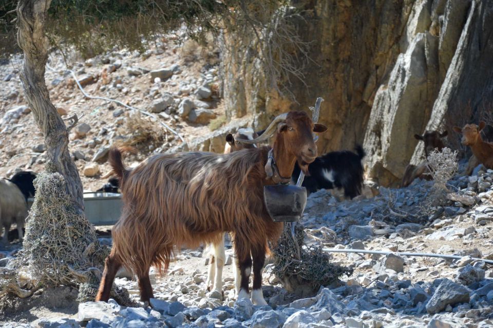 Southern Crete: Land Rover Safari With Lunch and Wine - Arrival Instructions