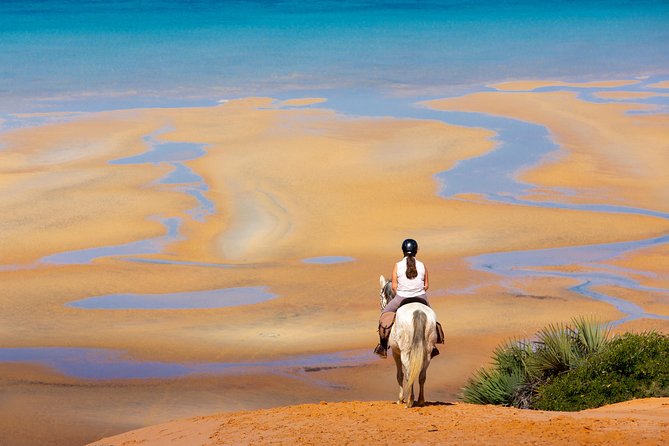 Standard Ride: Beach & Bush - Well-Cared-for Horses