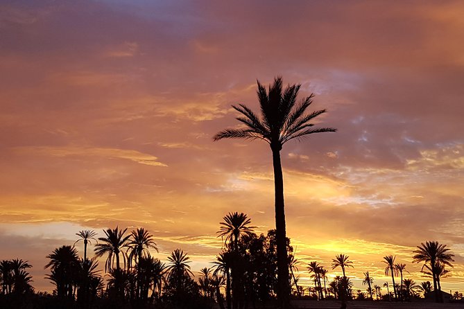 Sunset Camel Ride Tour in Marrakech Palm Grove - Group Size and Departure Time